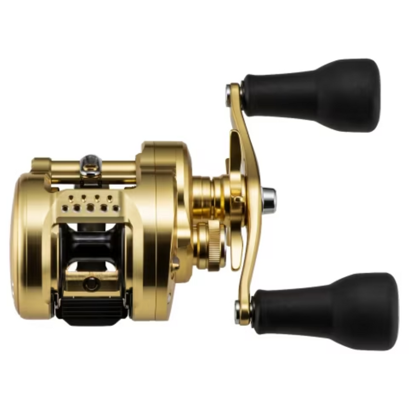 Load image into Gallery viewer, SHIMANO CALCUTTA CONQUEST MD 300XGLHB
