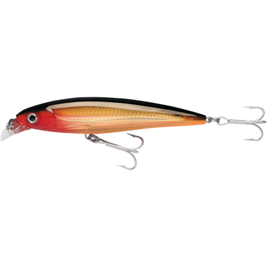 RAPALA X-RAP SALTWATER [SZ:10CM CLR:G]