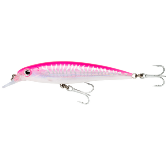 RAPALA X-RAP SALTWATER [SZ:10CM CLR:HPU]