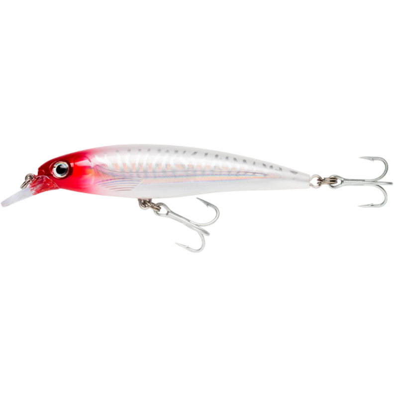 Load image into Gallery viewer, RAPALA X-RAP SALTWATER [SZ:10CM CLR:RHU]
