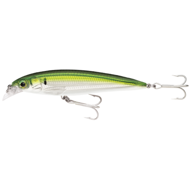 Load image into Gallery viewer, RAPALA X-RAP SALTWATER [SZ:10CM CLR:PLD]
