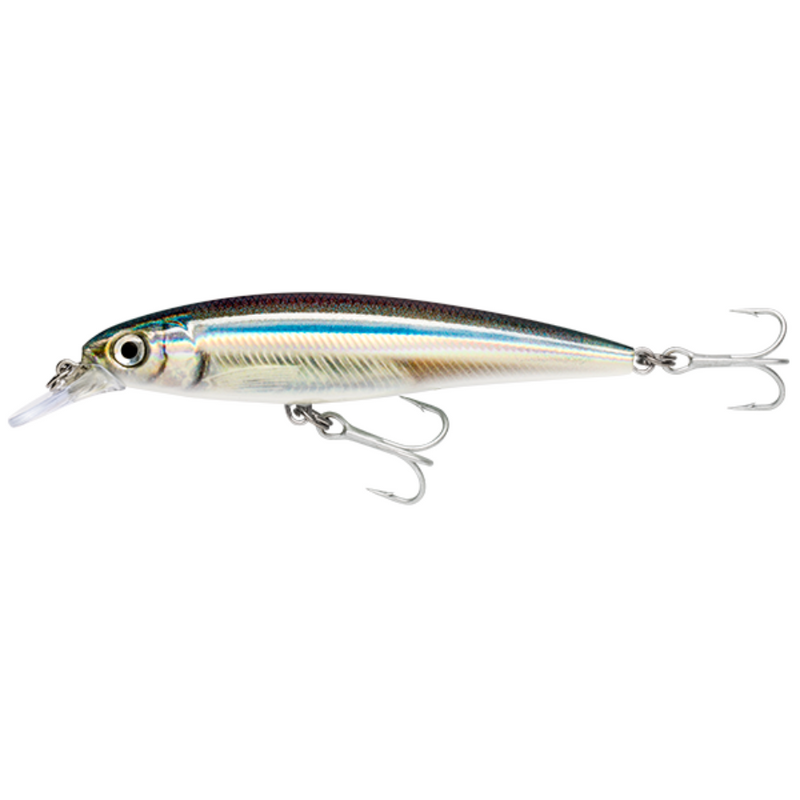 Load image into Gallery viewer, RAPALA X-RAP SALTWATER [SZ:10CM CLR:ANC]
