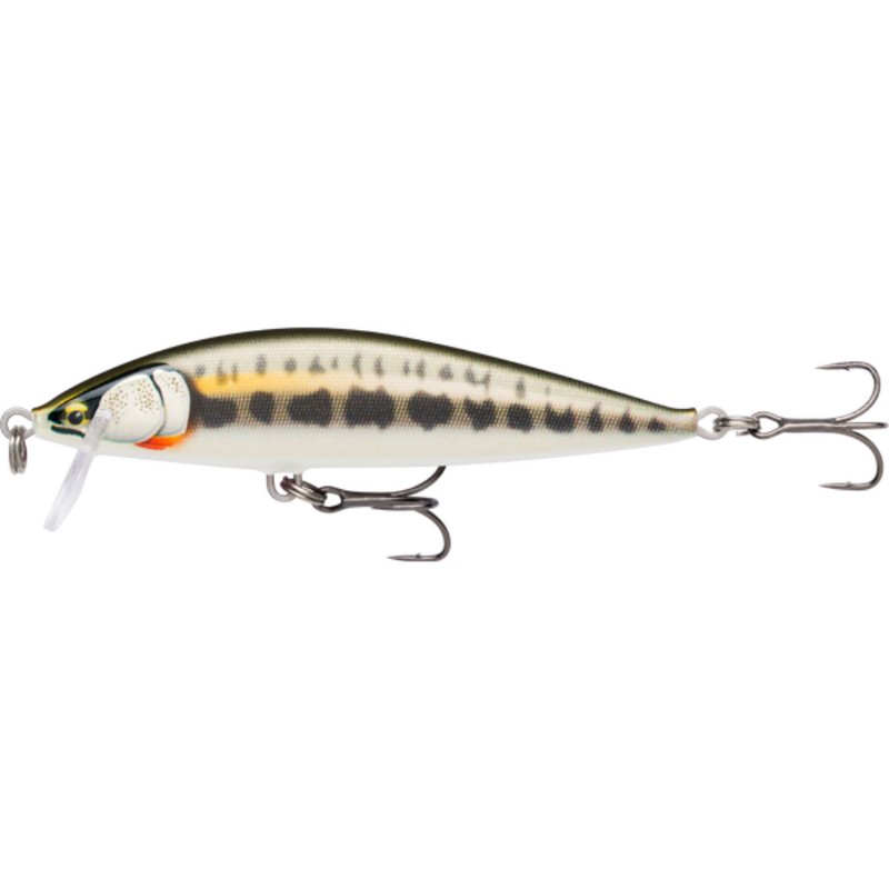 Load image into Gallery viewer, RAPALA COUNTDOWN ELITE 9.5CM [CLR:GILDED MINNOW]
