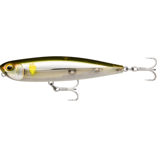 RAPALA PRECISION XTREME PENCIL SALTWATER 107MM [CLR:AYU]