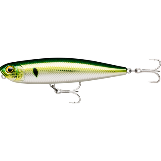 RAPALA PRECISION XTREME PENCIL SALTWATER 107MM [CLR:PHILCHARD]