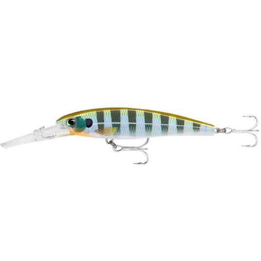 RAPALA X-RAP SALTWATER DEEP 11CM [CLR:BG]