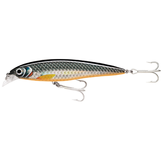 RAPALA X-RAP SALTWATER [SZ:10CM CLR:HLW]