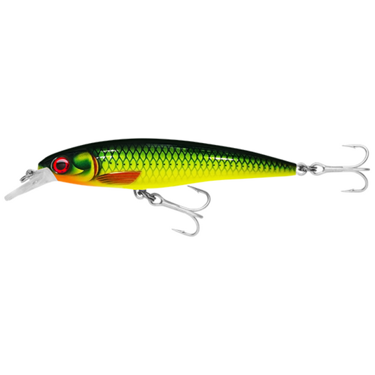 RAPALA X-RAP SALTWATER [SZ:10CM CLR:LGR]