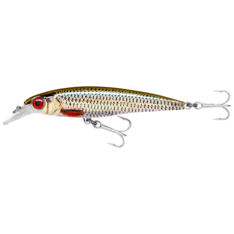 Load image into Gallery viewer, RAPALA X-RAP SALTWATER [SZ:10CM CLR:ROL]
