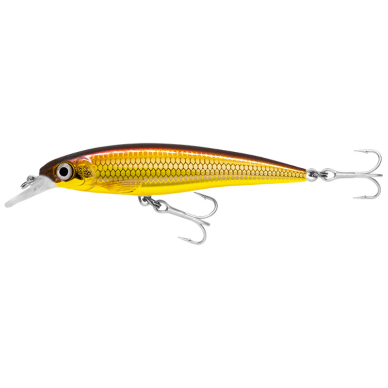 Load image into Gallery viewer, RAPALA X-RAP SALTWATER [SZ:12CM CLR:GALB]
