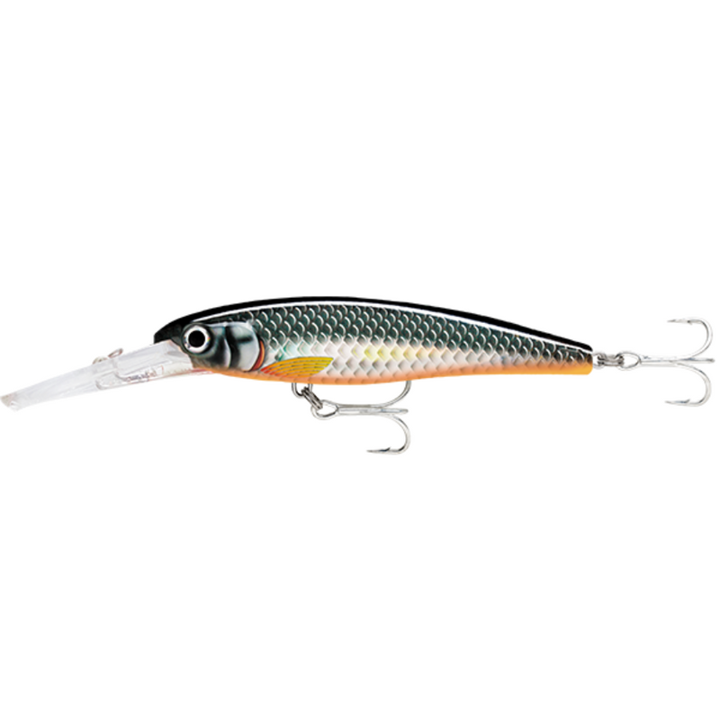 Load image into Gallery viewer, RAPALA X-RAP SALTWATER DEEP 11CM [CLR:HLW]
