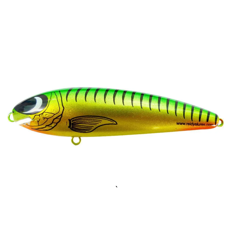 Load image into Gallery viewer, REIDYS TAIPAN [SZ:3M CLR:035]
