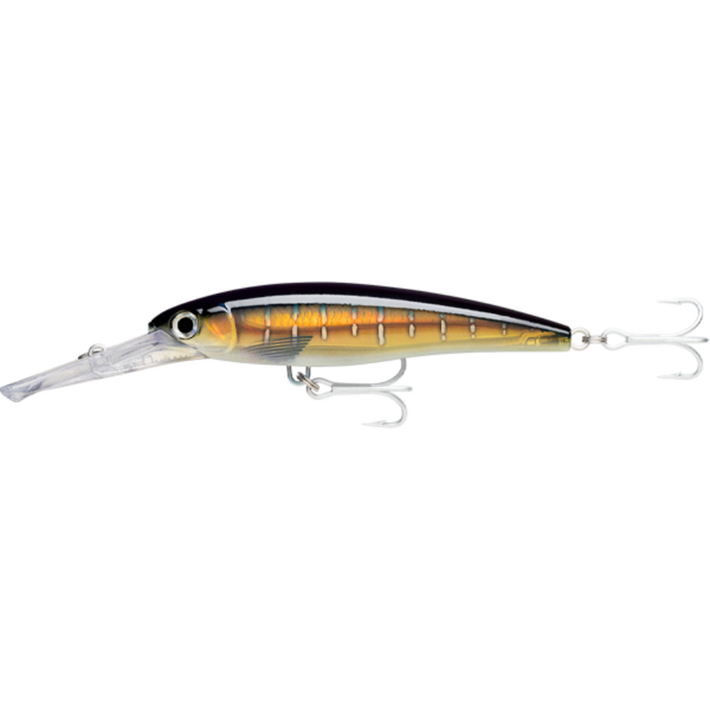 Load image into Gallery viewer, RAPALA X-RAP MAGNUM [SZ:20CM 40FT CLR:HD SAILFISH UV]
