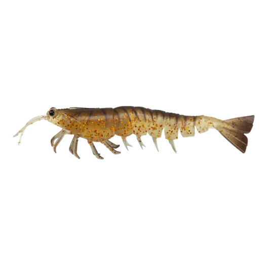 IRUKANDJI MEGAPRAWN DTF [SZ:4.5 INCH CLR:COCKROACH]