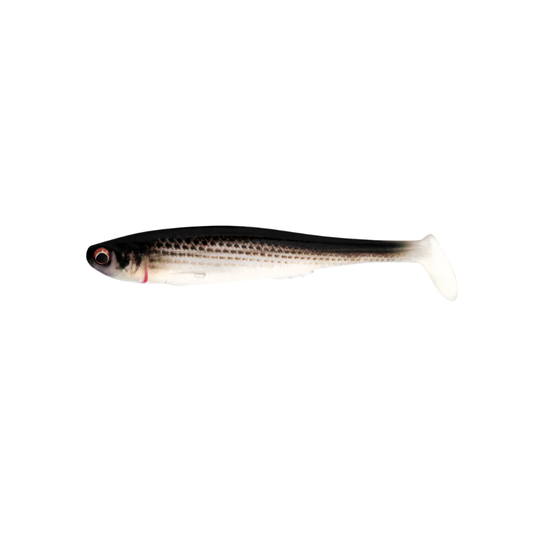 IRUKANDJI SICARIO [SZ:4 INCH CLR:MULLET]