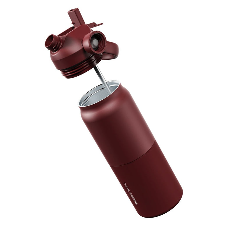 Load image into Gallery viewer, AUSSIE PAL INSULATED WATER BOTTLE 1L [CLR:PLUM]
