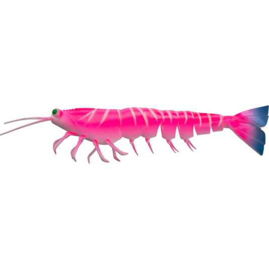 IRUKANDJI MEGAPRAWN [SZ:6.5 INCH CLR:COCKTAIL]