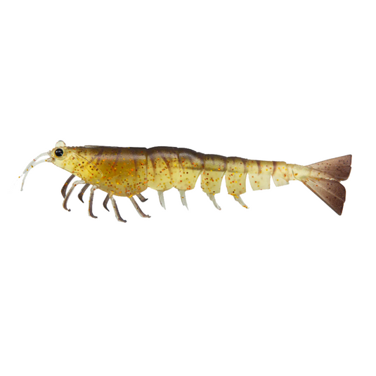 IRUKANDJI MEGAPRAWN [SZ:8 INCH CLR:COCKROACH]