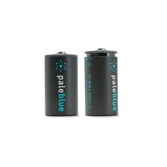 PALEBLUE D USB RECHARGABLE SMART BATTERIES