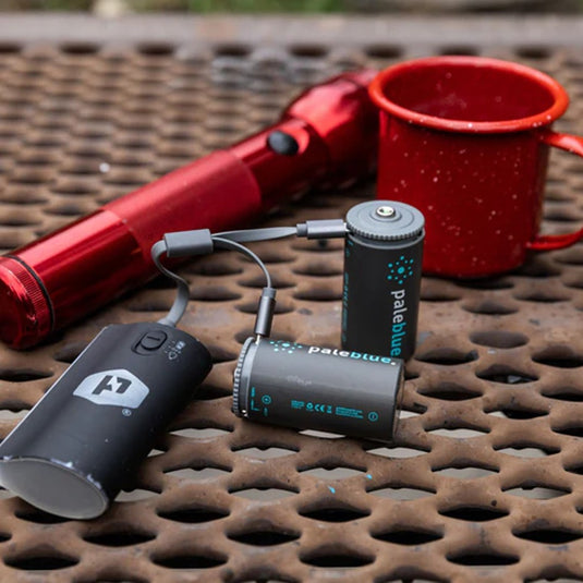 PALEBLUE D USB RECHARGABLE SMART BATTERIES