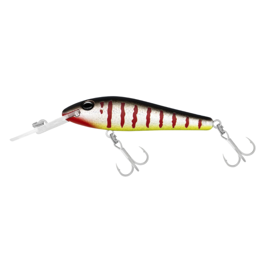 HALCO TBARRA 80 DD [CLR:R4 RED STRIPE]