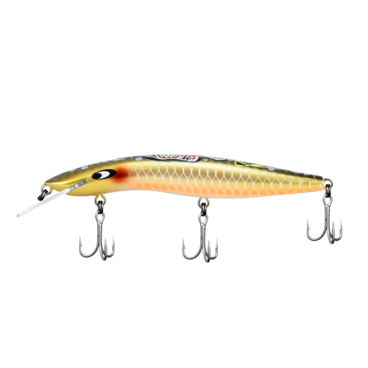 CLASSIC BARRA 120MM INDIGENOUS [SZ:+3 CLR:05 LIFE CYCLE]