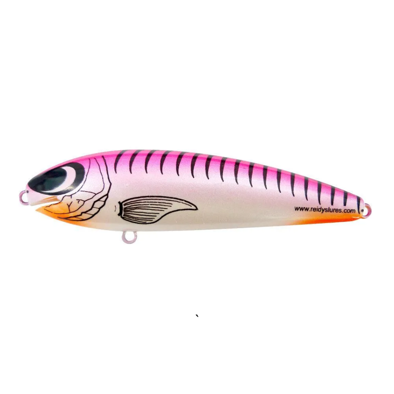 Load image into Gallery viewer, REIDYS TAIPAN [SZ:3M CLR:010]
