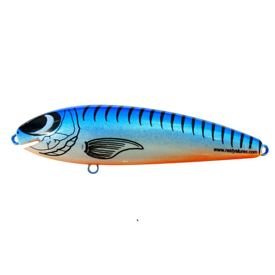 REIDYS TAIPAN [SZ:3M CLR:030]