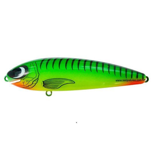 REIDYS TAIPAN [SZ:2M CLR:008]