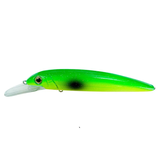 REIDYS THE JUDGE [CLR:M15]