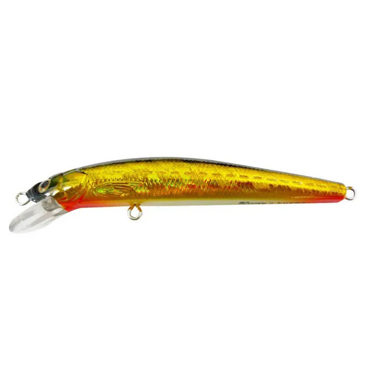 REIDYS JUNIOR B52 [CLR:H-GB]