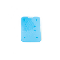 COMPANION ICE BRICK SMALL 150ML