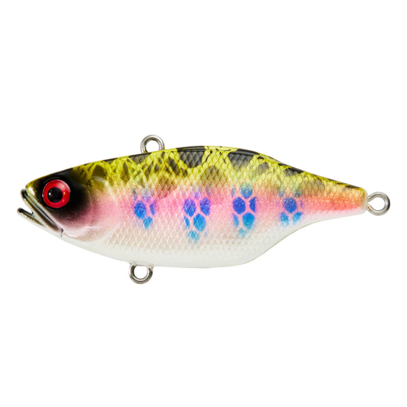 Load image into Gallery viewer, YAKAMITO RABID VIBE [SZ:60MM CLR:RAINBOW TROUT]

