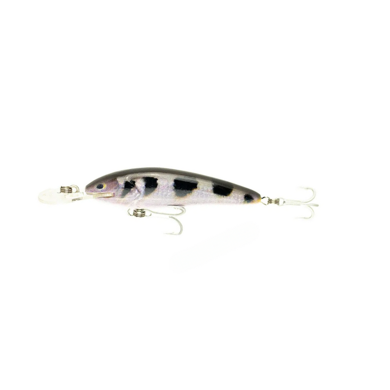 Load image into Gallery viewer, RAPTOR LURES JACK SNAX 7+ LIVE SERIES [CLR:ARCHER FISH]
