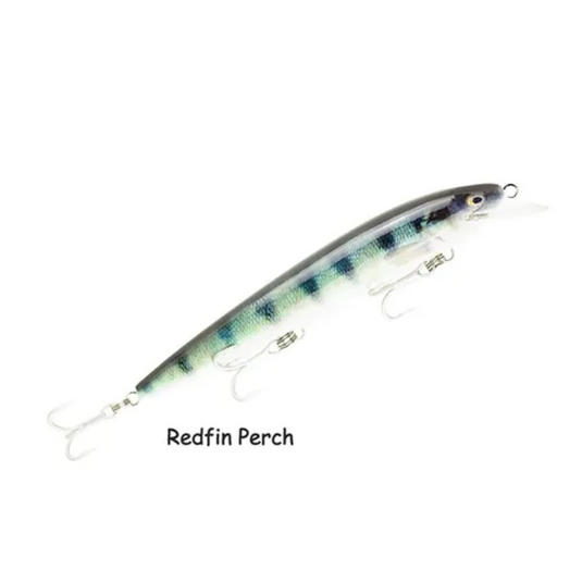 RAPTOR LURES DOMINATOR 7" LIVE SERIES [CLR:REDFIN PERCH]