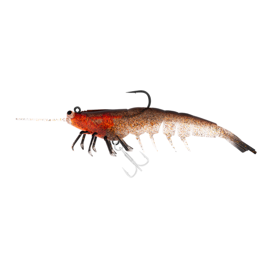 IRUKANDJI MEGAPRAWN DTF [SZ:4.5 INCH CLR:BROWNSNAKE]
